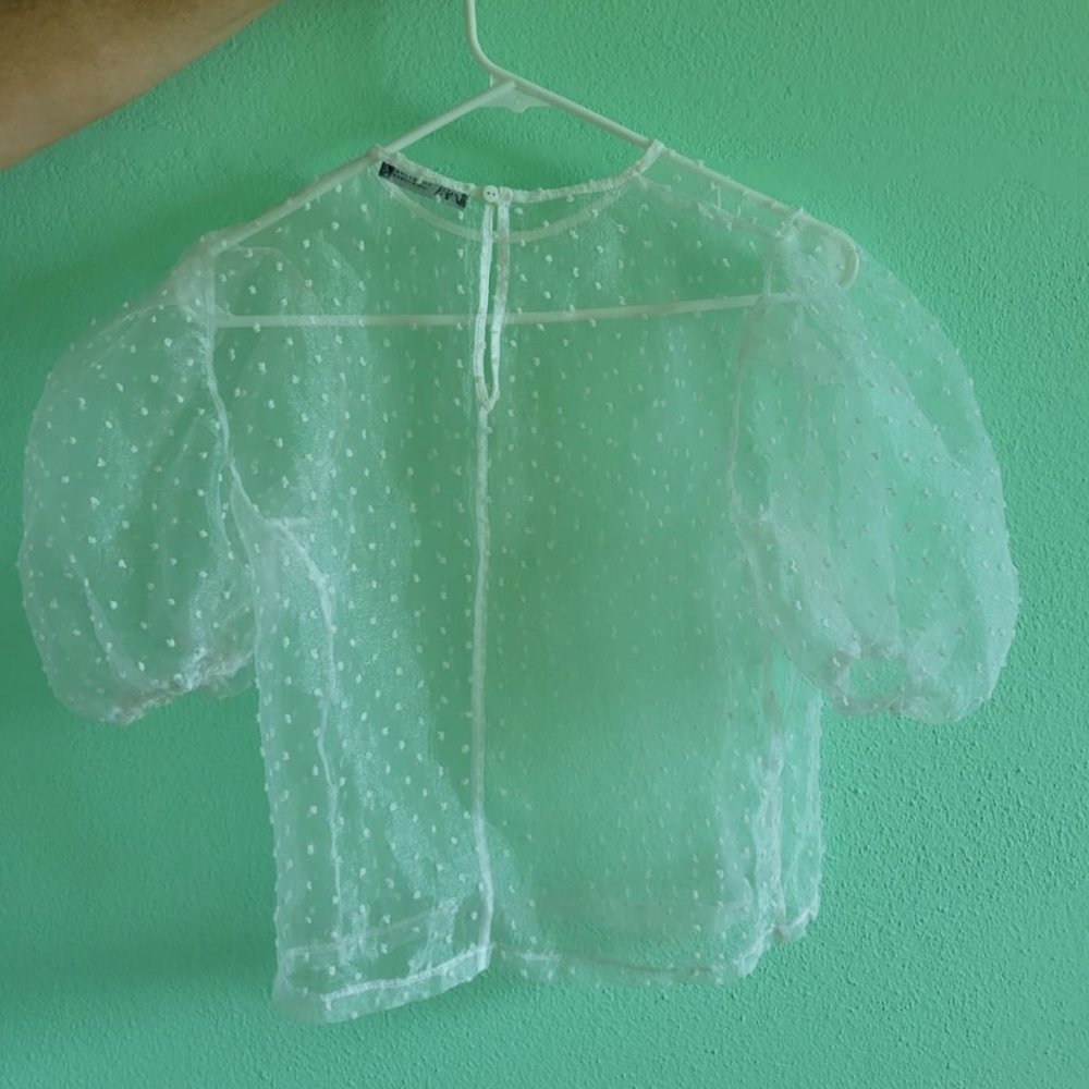 ZARA sheer top